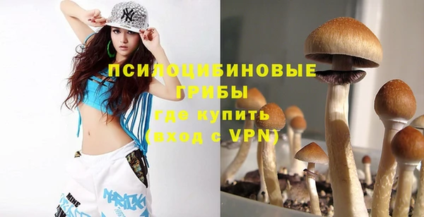 mdpv Бородино