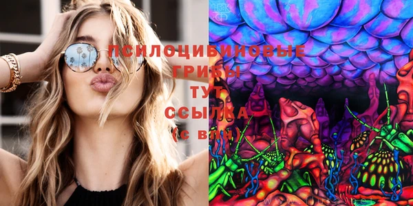 дживик Бугульма