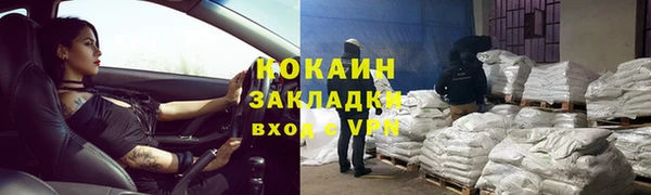 прущие грибы Майский