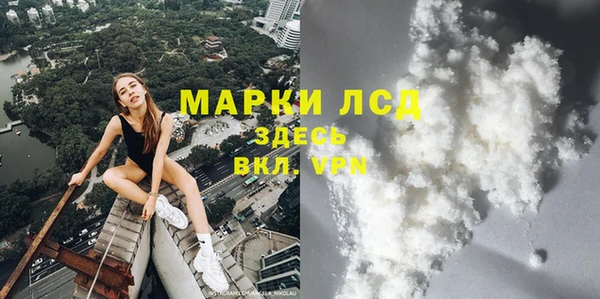 mdpv Бородино
