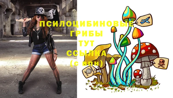 прущие грибы Майский