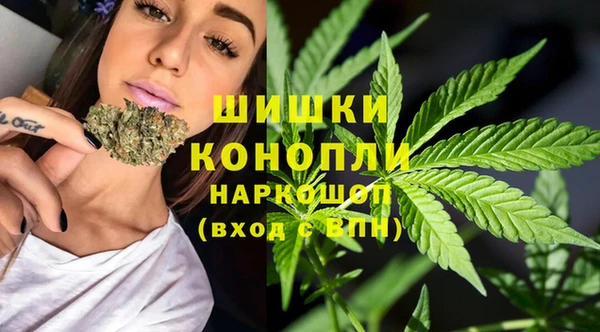 сатива Магас
