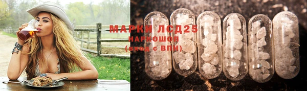 прущие грибы Майский