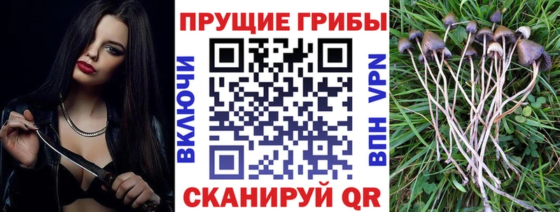 Псилоцибиновые грибы Magic Shrooms Верхоянск